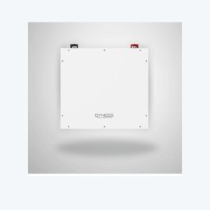 Dyness 4.8kWh 48V 100Ah battery - real product photo