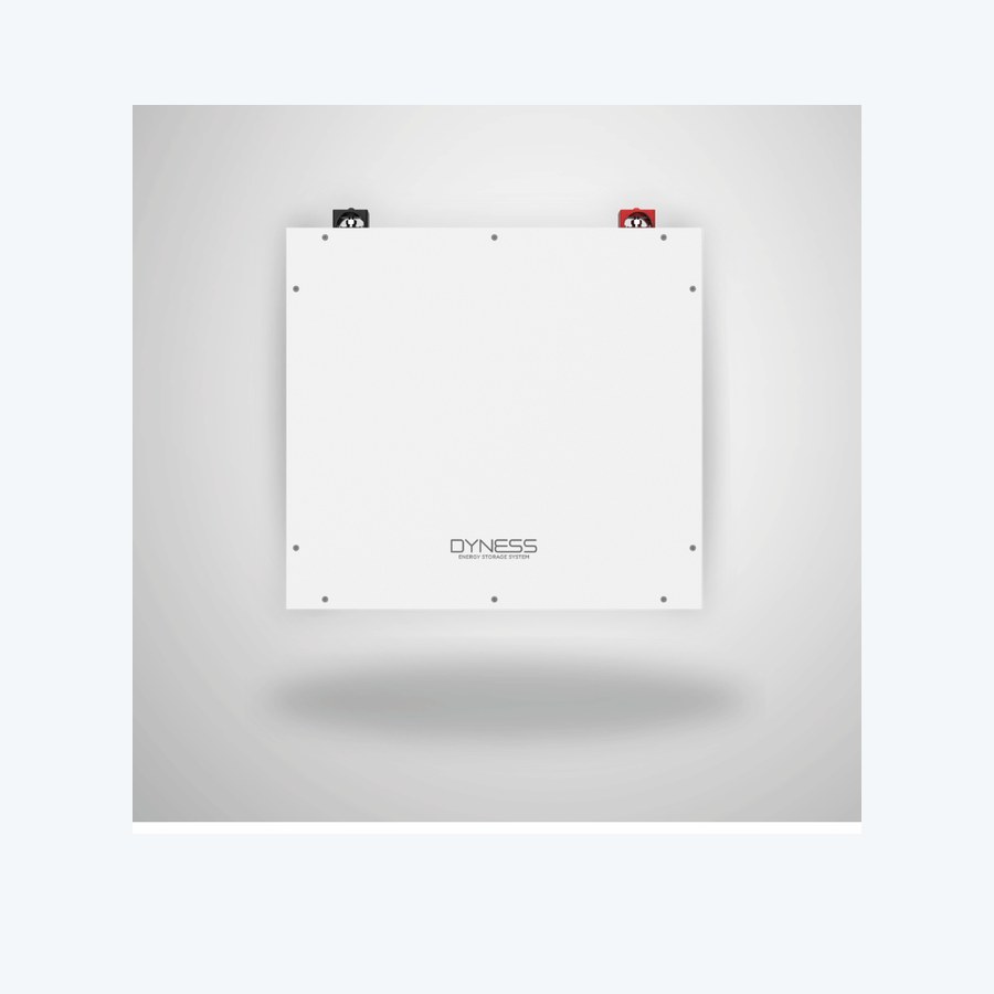 Dyness 4.8kWh 48V 100Ah battery - real product photo