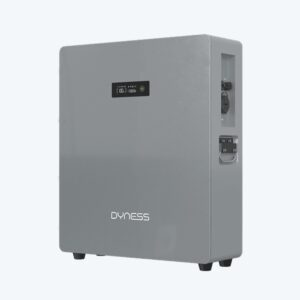 dyness powerbrick